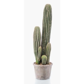 Cactus San Pedro artificiel DACON en pot décoratif, vert, 55cm