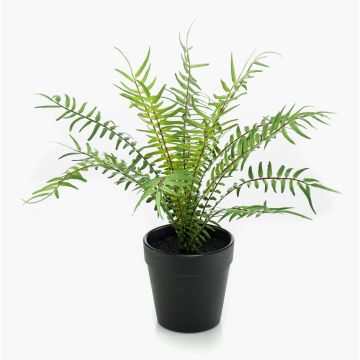 Fougère type Blechnum artificielle CASCOT, vert, 20cm