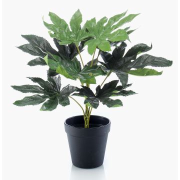 Plante artificielle Aralia TEULADA, vert, 30cm