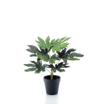 Plante artificielle Aralia TEULADA, vert, 30cm Plante artificielle Aralia TEULADA, vert, 30cm