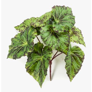 Bégonia rex artificiel MEIRA sur piquet, vert-noir, 25cm