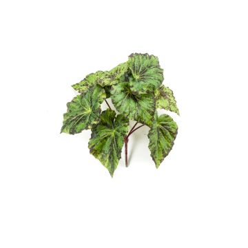 Bégonia rex artificiel MEIRA sur piquet, vert-noir, 25cm