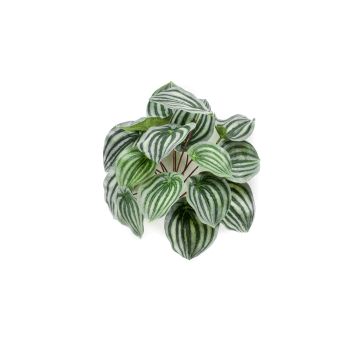 Peperomia artificiel KEPANO sur piquet, vert-blanc, 25cm