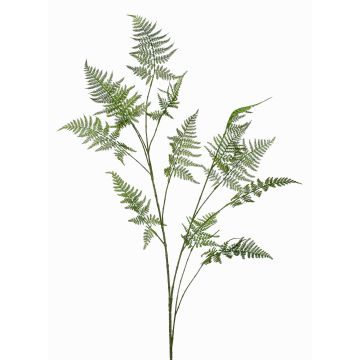Branche d'asparagus plumosus artificielle FAYNA, 135cm