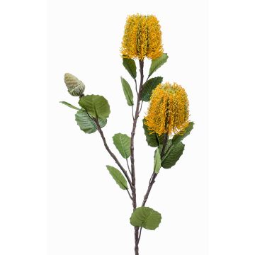 Fleur artificielle Banksia CONAKIR, jaune, 70cm
