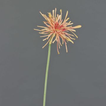 Chrysanthème artificiel SUSUMU, orange, 60cm Chrysanthème artificiel SUSUMU, orange, 60cm