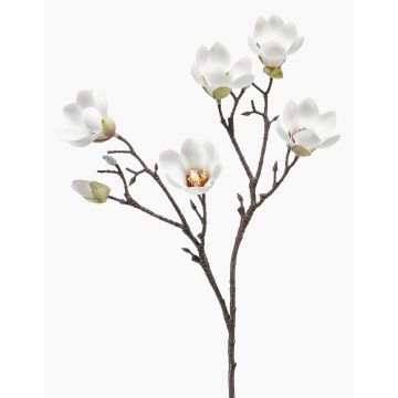 Fleur artificielle magnolia ANEU, crème, 65cm