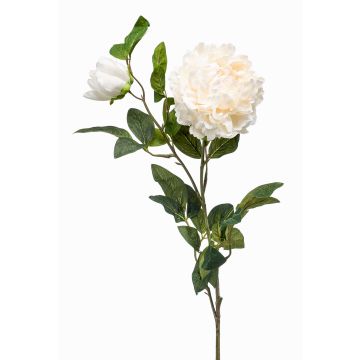 Pivoine en tissu ALEDIS, crème, 100cm
