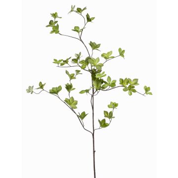 Branche de Capucine artificielle SAMAY, vert, 115cm