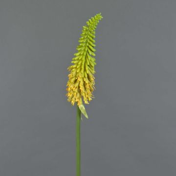 Kniphofia artificiel MUNDAKA, jaune, 85cm