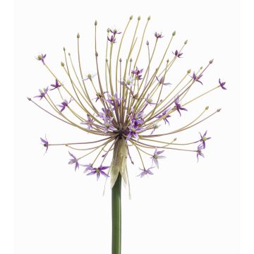 Allium en plastique GETARIA, lilas, 105cm
