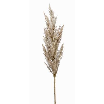 Branche artificielle Panicule d'herbe de la pampa BATERNO, crème, 90cm