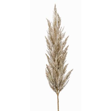 Branche artificielle Panicule d'herbe de la pampa BATERNO, crème, 115cm