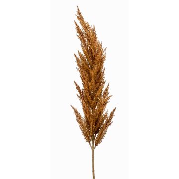 Branche artificielle Panicule d'herbe de la pampa BATERNO, brun, 115cm