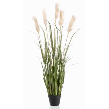 Herbe de la pampa artificielle ALCANTARA avec panicules, vert, 130cm