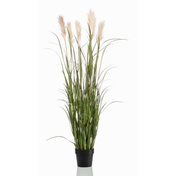 Herbe de la pampa artificielle ALCANTARA avec panicules, vert, 160cm