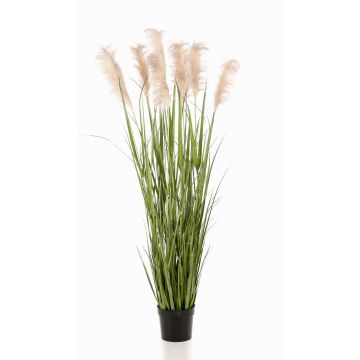 Herbe de la pampa artificielle ALCANTARA avec panicules, vert, 175cm