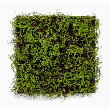 Tapis de mousse artificiel MIRANDILA, vert, 50x50cm