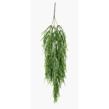 Chute de rhipsalis artificielle TALIGA sur piquet, vert, 80cm