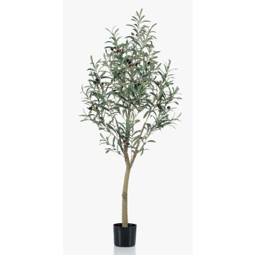 Olivier artificiel CLAYTON, tronc artificiel, avec fruits, 140cm