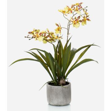 Fausse orchidée Oncidium COLUNGA en pot en céramique, jaune-orange, 45cm