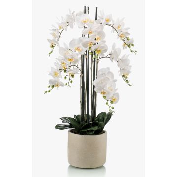 Orchidée artificielle Phalaenopsis CECILE, pot en céramique, blanc, 100cm Orchidée artificielle Phalaenopsis CECILE, pot en céramique, blanc, 100cm