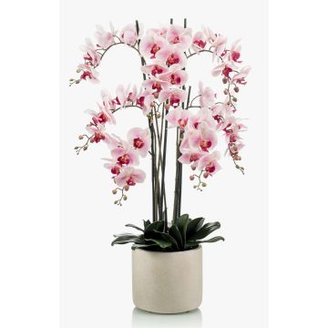 Orchidée artificielle Phalaenopsis CECILE, pot en céramique, rose-rose fuchsia, 100cm Orchidée artificielle Phalaenopsis CECILE, pot en céramique, rose-rose fuchsia, 100cm
