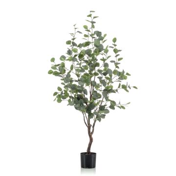 Eucalyptus artificiel ANUHEA, tronc artificiel, vert-gris, 120cm Eucalyptus artificiel ANUHEA, tronc artificiel, vert-gris, 120cm
