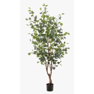 Eucalyptus artificiel ANUHEA, tronc artificiel, vert-gris, 140cm