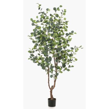 Eucalyptus artificiel ANUHEA, tronc artificiel, vert-gris, 180cm