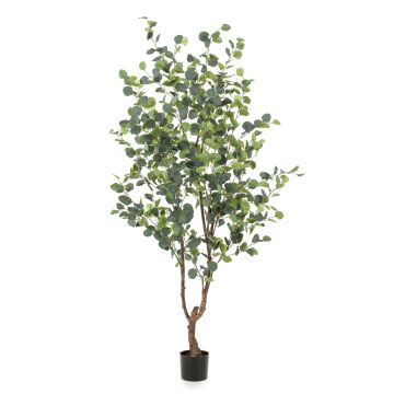 Eucalyptus artificiel ANUHEA, tronc artificiel, vert-gris, 180cm