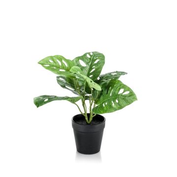 Faux philodendron Monstera Deliciosa PUYA, 30cm Faux philodendron Monstera Deliciosa PUYA, 30cm