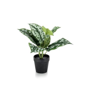 Pothos tacheté artificiel OBASI, vert-blanc, 25cm Pothos tacheté artificiel OBASI, vert-blanc, 25cm