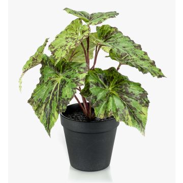 Bégonia rex artificiel MEIRA, vert-noir, 25cm