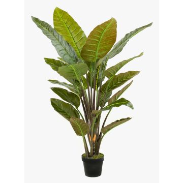 Strelitzia artificiel RIBERA, vert, 135cm