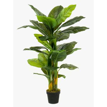 Plante artificielle Spathiphyllum SIERO, vert, 130cm