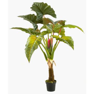 Colocasia artificiel SOTU, vert, 160cm