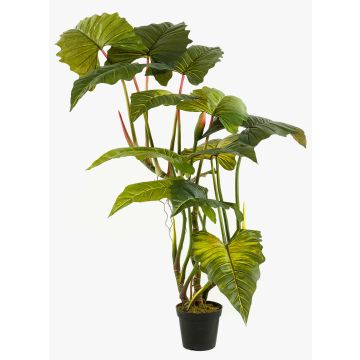 Colocasia artificiel SOTU, vert, 175cm