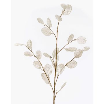 Branche de lunaire artificielle BUELNA, crème, 105cm
