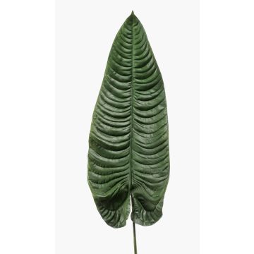 Feuille de colocasia artificielle ABANTO, vert, 105cm