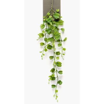Hoya kerrii artificiel ORERA sur piquet, vert, 90cm