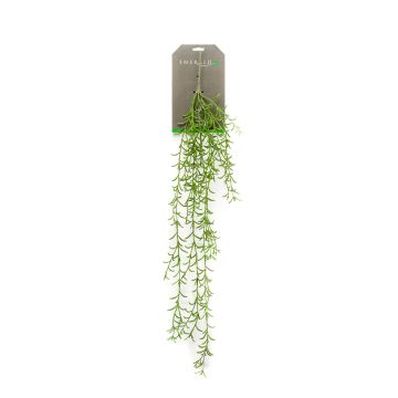 Chute de rhipsalis artificielle POMER sur piquet, vert, 90cm
