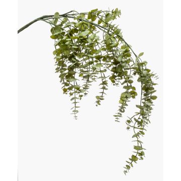 Branche d'eucalyptus artificielle PINORO, vert, 120cm