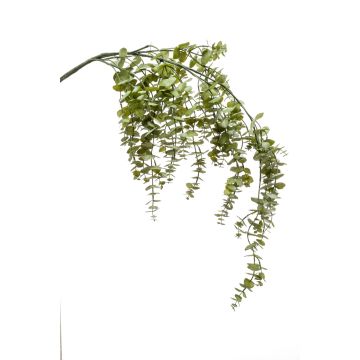 Branche d'eucalyptus artificielle PINORO, vert, 120cm