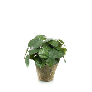 Plante à monnaie chinoise artificielle SYBIL en pot en terre cuite, vert, 22cm Plante à monnaie chinoise artificielle SYBIL en pot en terre cuite, vert, 22cm