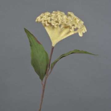 Célosie en tissu BONARES, beige, 60cm