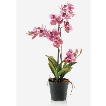 Fleur artificielle Orchidée Vanda CAMPO, rose-rose fuchsia, 60cm