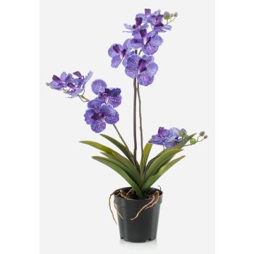 Fleur artificielle Orchidée Vanda CAMPO, violet, 60cm