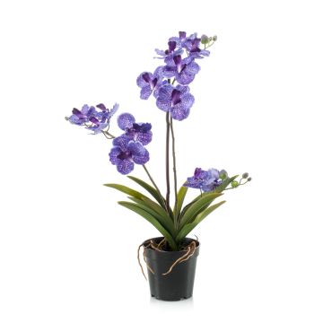 Fleur artificielle Orchid&eacute;e Vanda CAMPO, violet, 60cm