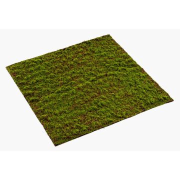 Tapis de mousse grimmia artificiel FERMIN, vert, 100x100cm Tapis de mousse grimmia artificiel FERMIN, vert, 100x100cm